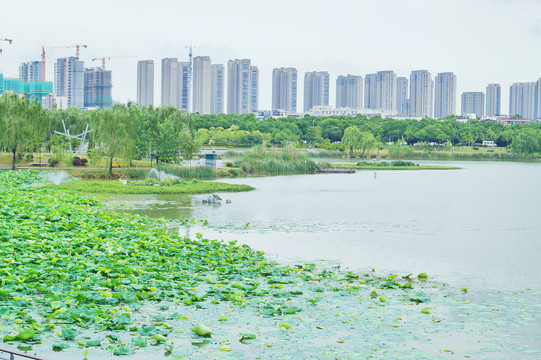 江宁九龙湖商圈