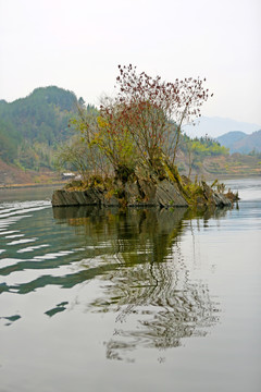 龙湖秋天CA