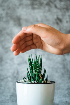 植物保护环境概念图