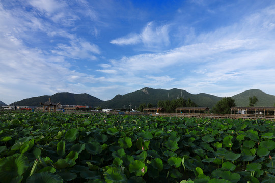 舟山海島田園風(fēng)光