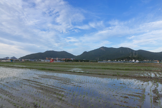 舟山海島田園風(fēng)光