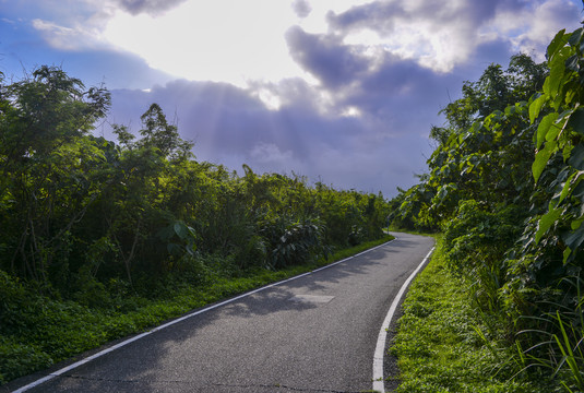 通往海边的小路