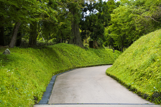 通往公园的道路