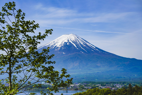 日本富士山