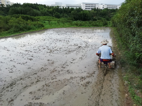 拖拉机打田