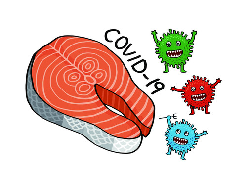 三文鱼鱼肉发现新型冠状病毒插画