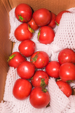 普罗斯旺西红柿