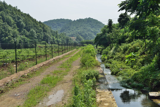 小溪河道