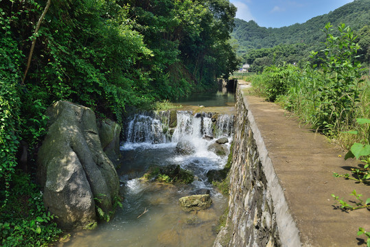 小溪河道