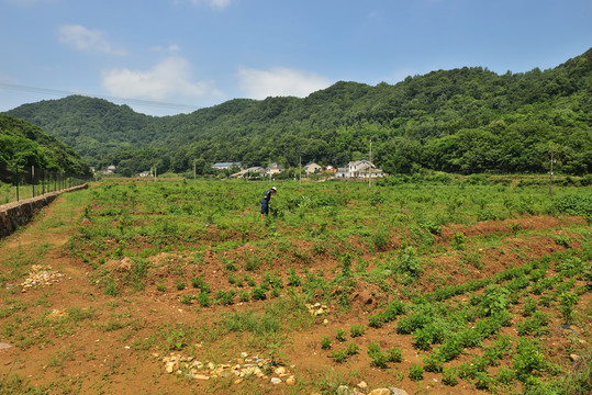 鐘家沖村田園風(fēng)光
