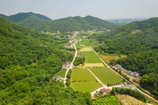 钟家冲村田园风光