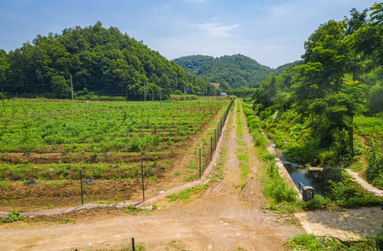 钟家冲村田园风光