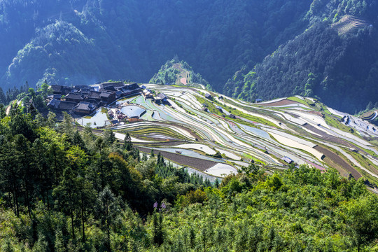 贵州加榜梯田