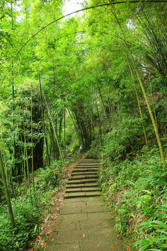 川西竹海