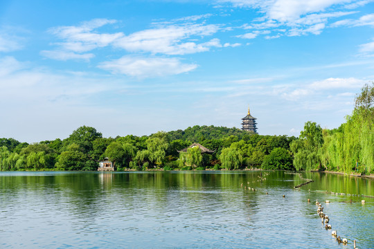 杭州西湖夏天苏堤与雷峰塔