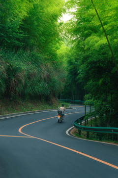 中国湖北咸宁星星竹海景区