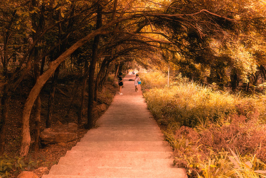 登山途中