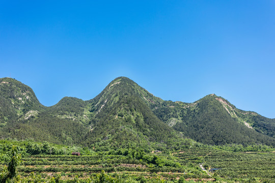 青山