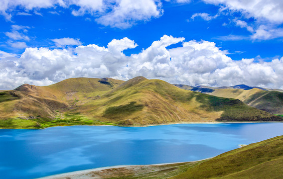 羊湖美景