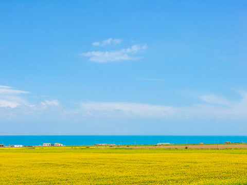 青海湖