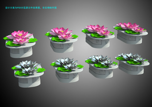 荷花單獨