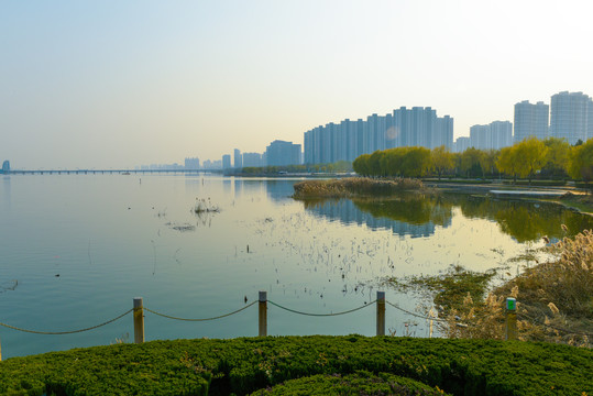 临沂沂河湿地公园