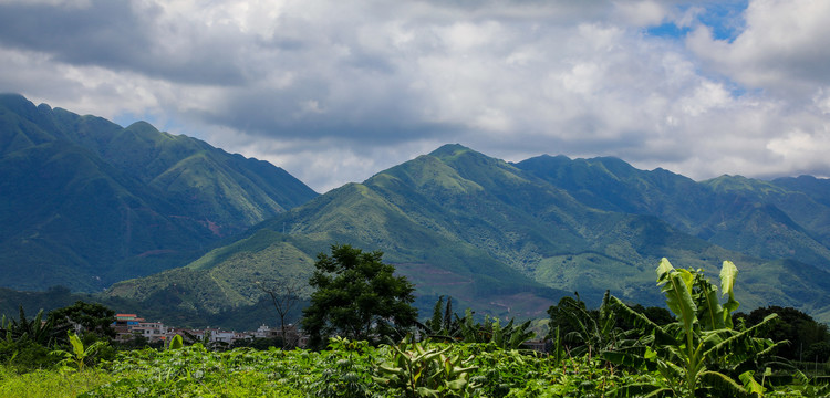 山水田园