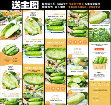 黃瓜詳情頁