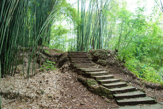 川西竹海