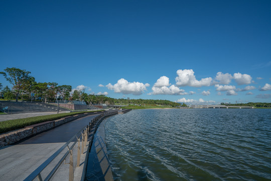 深圳湾人才公园