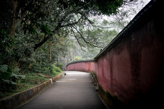 广东韶关南华禅寺幽静