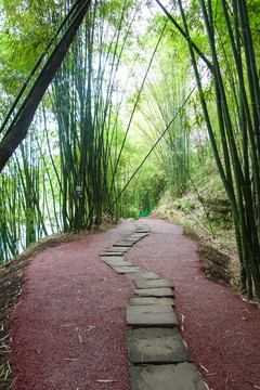 竹林石板路