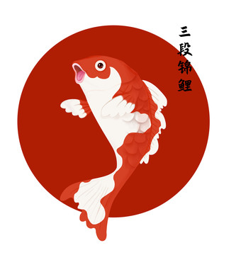 錦鯉插畫