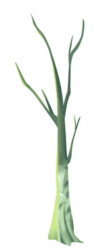 黃綠色調(diào)小清新風(fēng)格樹(shù)