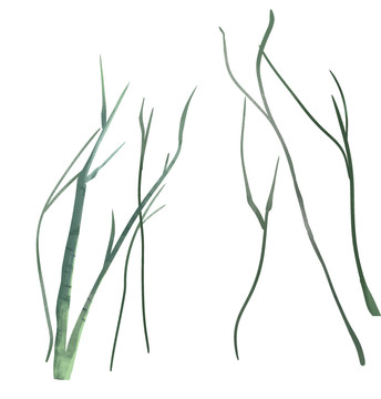 黃綠色調(diào)小清新風格樹枝