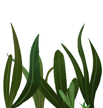 黃綠色調(diào)小清新風(fēng)格墨綠草