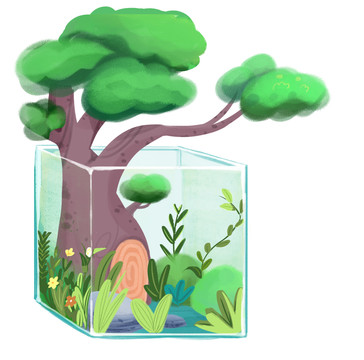 小清新风格绿色玻璃生态缸