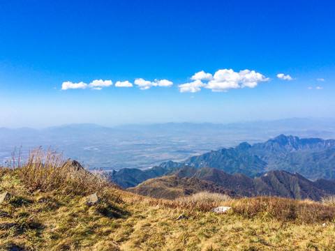 高山草甸