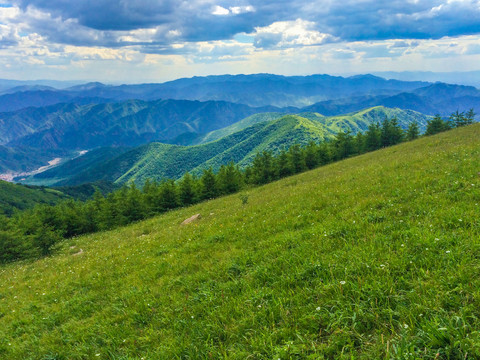 高山草甸