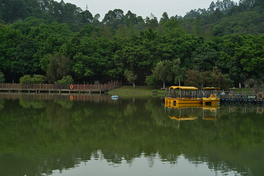 公园风景