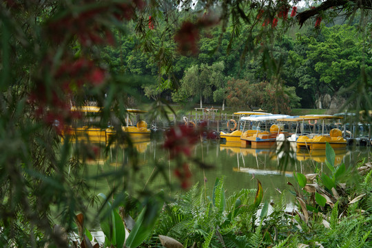 公园风景