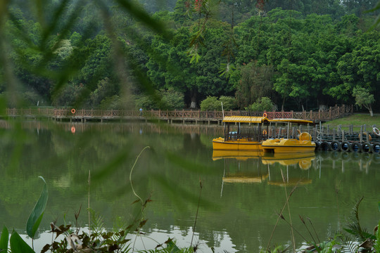 公园风景