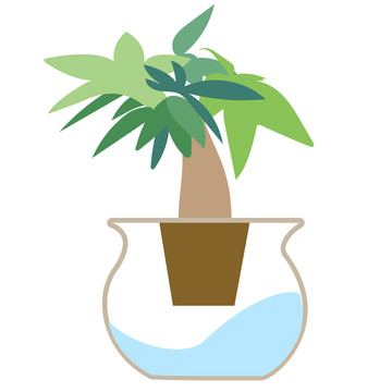 發(fā)財樹