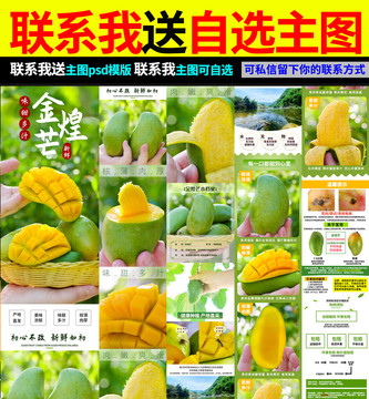 金煌芒詳情頁
