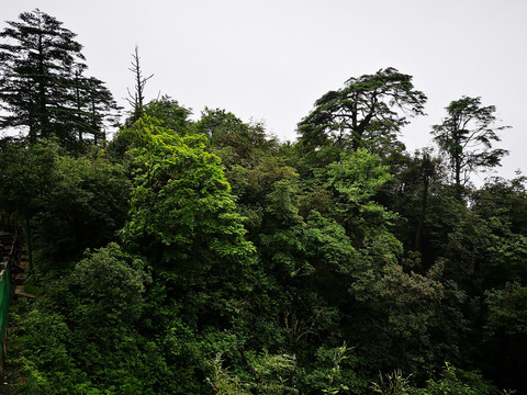 峨眉山风光