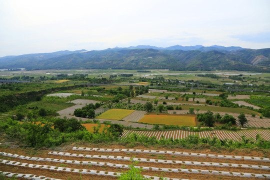 田园风光