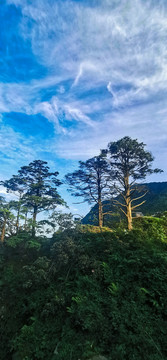 四川峨眉山自然风景区风光