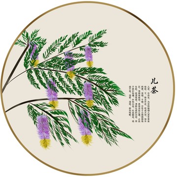 手繪中草藥兒茶