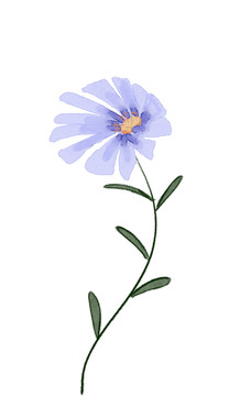 小清新水彩風藍花卉