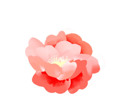 小清新水彩風(fēng)橙紅色花朵